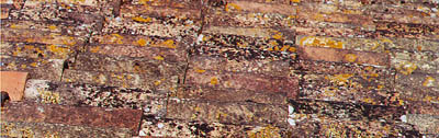 toit.jpg (33478 octets)